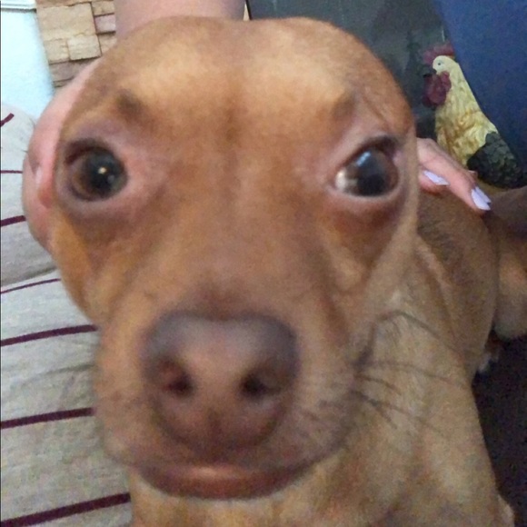 wallysmommy